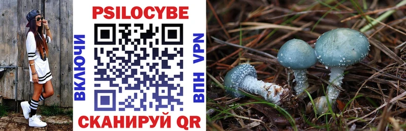 Купить Кирс Псилоцибиновые грибы MAGIC MUSHROOMS